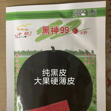 黑神99纯黑皮无籽西瓜子不空心35天成熟亩产12000