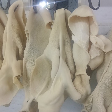 水煮熟牛肚产地一手货源直发品质好价格可谈