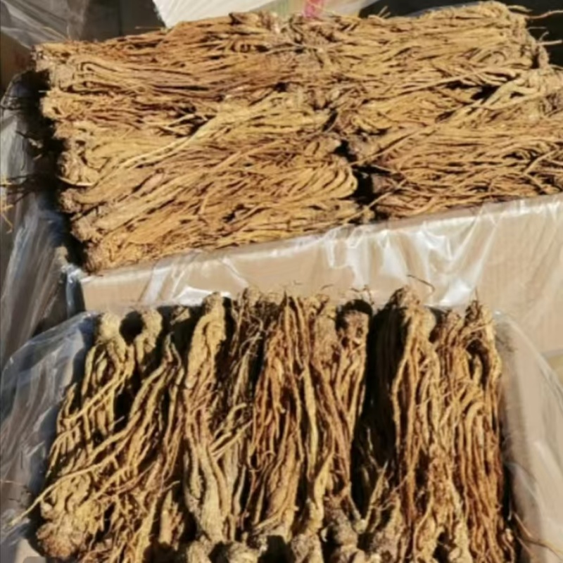 25年新当归甘肃正宗岷县无硫磺干货批发可切片特级煲汤泡水