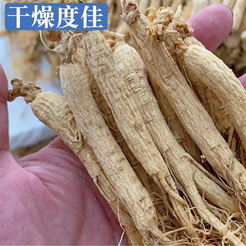 【白参】白参物美价廉各种规格产地直供