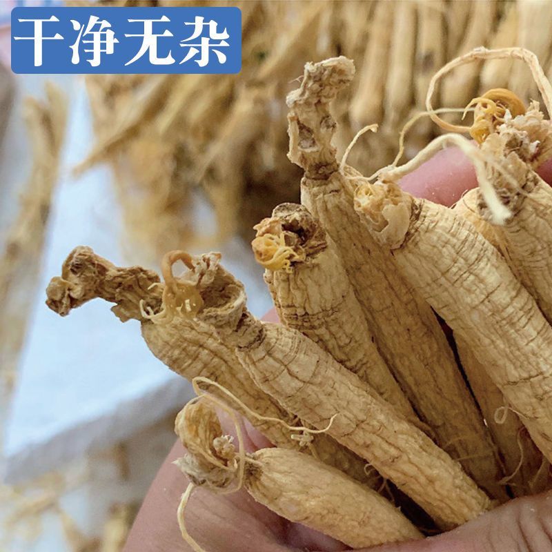 【白参】白参物美价廉各种规格产地直供