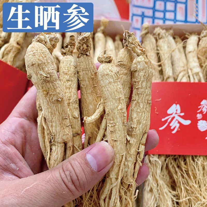 【白参】白参物美价廉各种规格产地直供