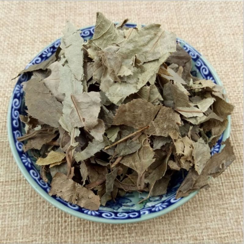 【矮地茶】矮地茶量大从优物美价廉产地直供