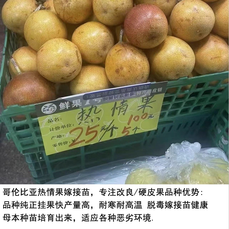 新品种哥伦比亚热情果苗纯甜不酸南方果树苗阳台庭院盆栽地栽