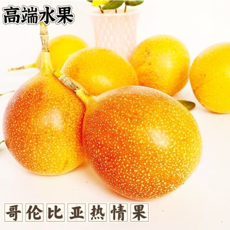 新品种哥伦比亚热情果苗纯甜不酸南方果树苗阳台庭院盆栽地栽