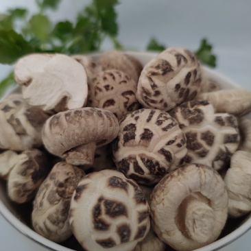 特产干货剪脚厚肉干花菇收质优价廉菇农直发无中间商