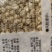 玉米种子珍早甜糯52早熟白甜糯玉米抢早上市卖高价