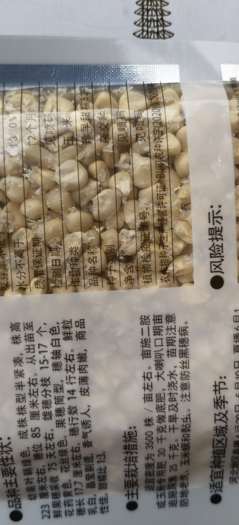 玉米种子珍早甜糯52早熟白甜糯玉米抢早上市卖高价
