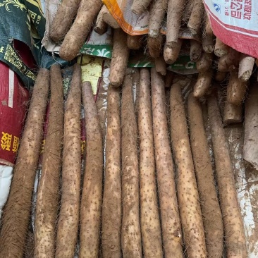 榆林白玉山药产地直发4567