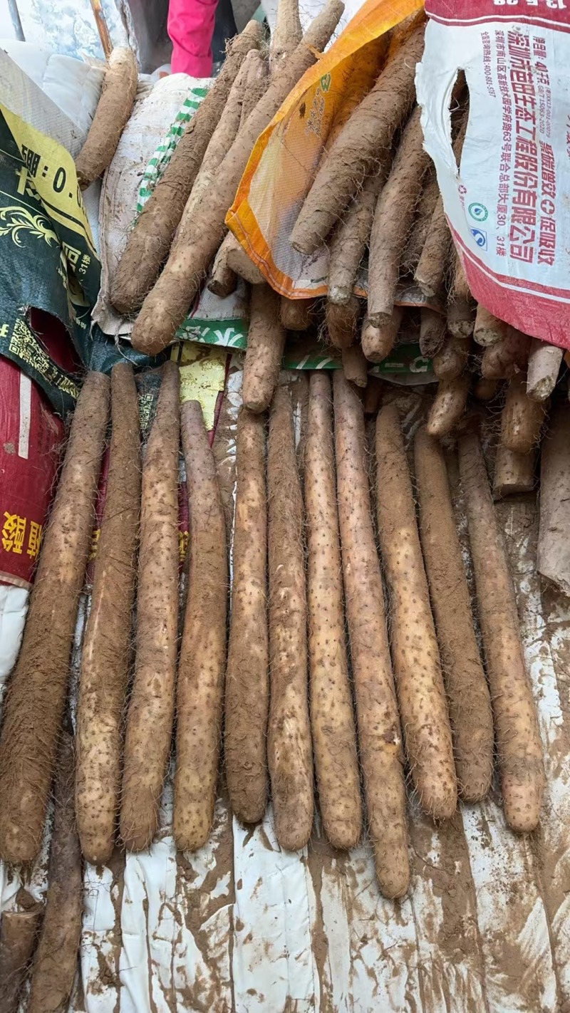 榆林白玉山药产地直发4567