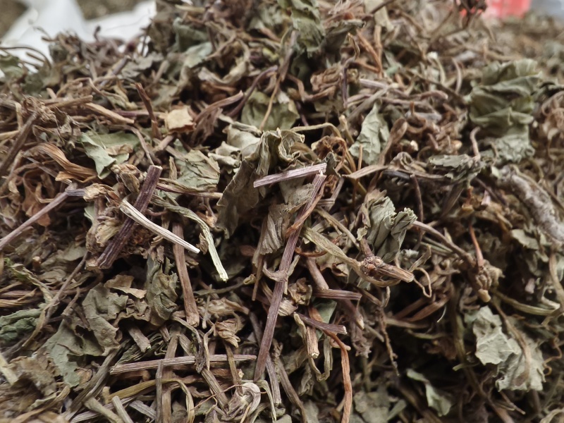 积雪草新货积雪草干净无杂质正品积雪草大货批发零售