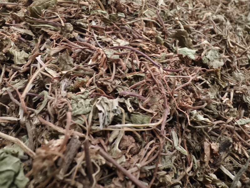 积雪草新货积雪草干净无杂质正品积雪草大货批发零售