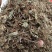 积雪草新货积雪草干净无杂质正品积雪草大货批发零售