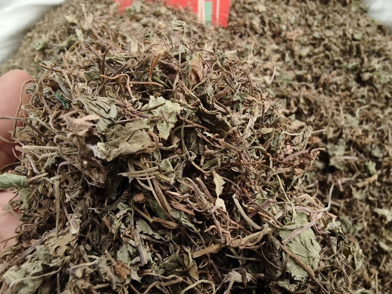积雪草新货积雪草干净无杂质正品积雪草大货批发零售