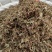 积雪草新货积雪草干净无杂质正品积雪草大货批发零售