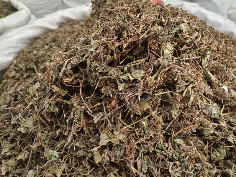 积雪草新货积雪草干净无杂质正品积雪草大货批发零售