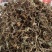 积雪草新货积雪草干净无杂质正品积雪草大货批发零售