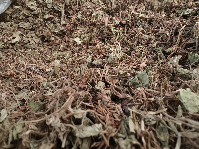 积雪草新货积雪草干净无杂质正品积雪草大货批发零售