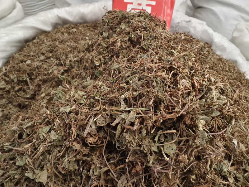 积雪草新货积雪草干净无杂质正品积雪草大货批发零售
