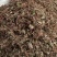 积雪草新货积雪草干净无杂质正品积雪草大货批发零售
