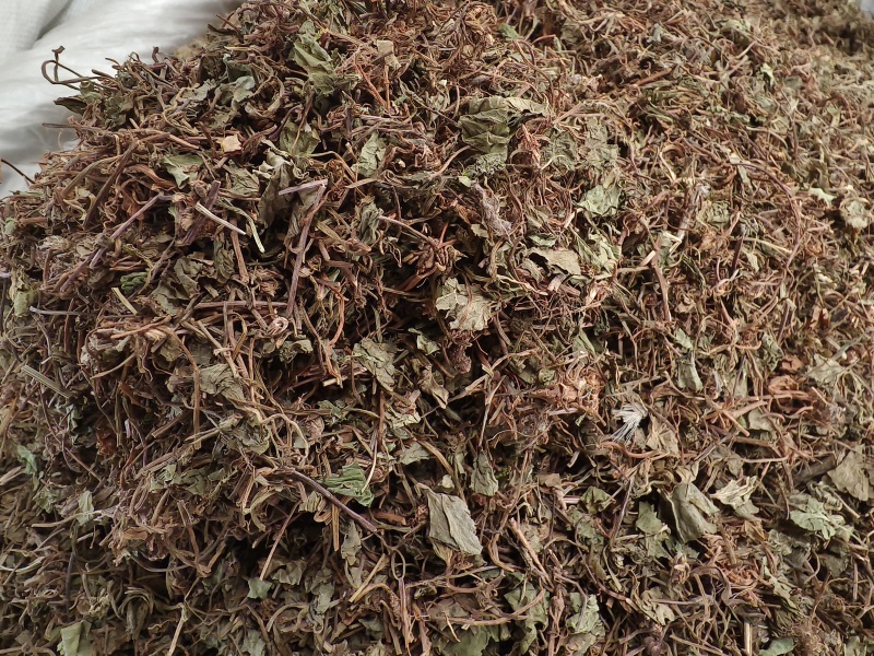 积雪草新货积雪草干净无杂质正品积雪草大货批发零售