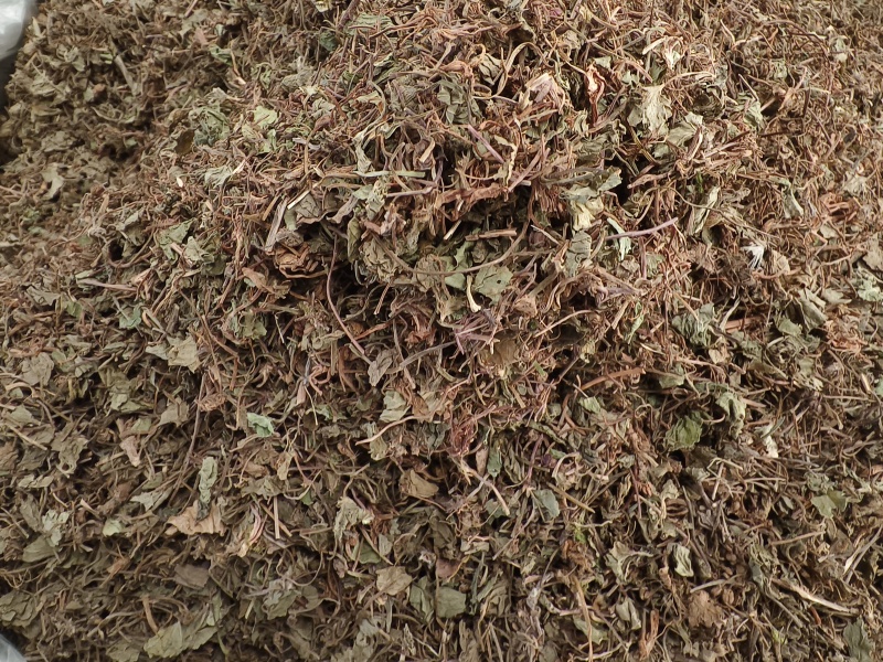 积雪草新货积雪草干净无杂质正品积雪草大货批发零售