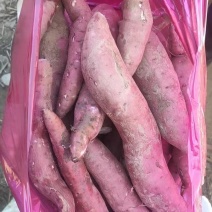 白心红薯蜜薯大量有货量大优惠