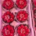 草莓，甜茶里，隋株，雪里香，联盟二号大量上市