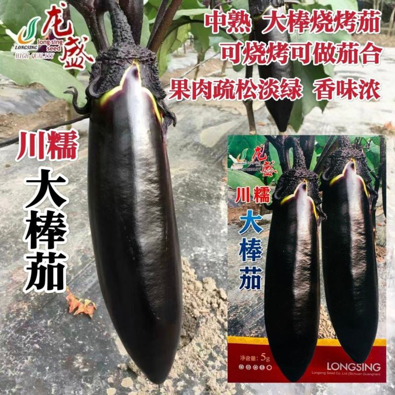 川糯大棒茄种子高产黑又亮棒茄绿肉茄子种子紫黑烧烤茄种子春