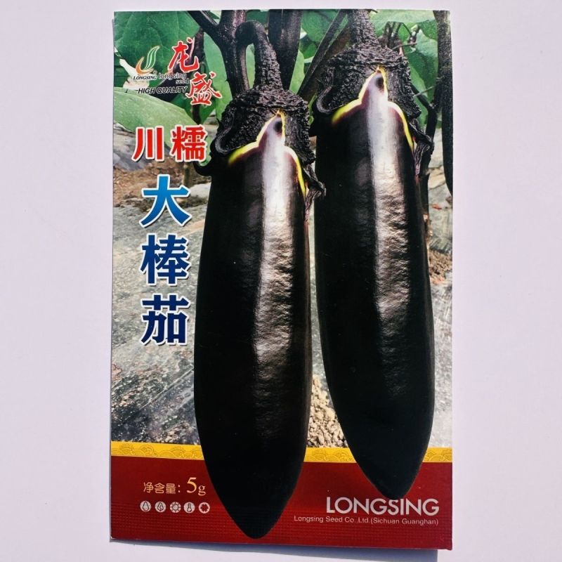 川糯大棒茄种子高产黑又亮棒茄绿肉茄子种子紫黑烧烤茄种子春