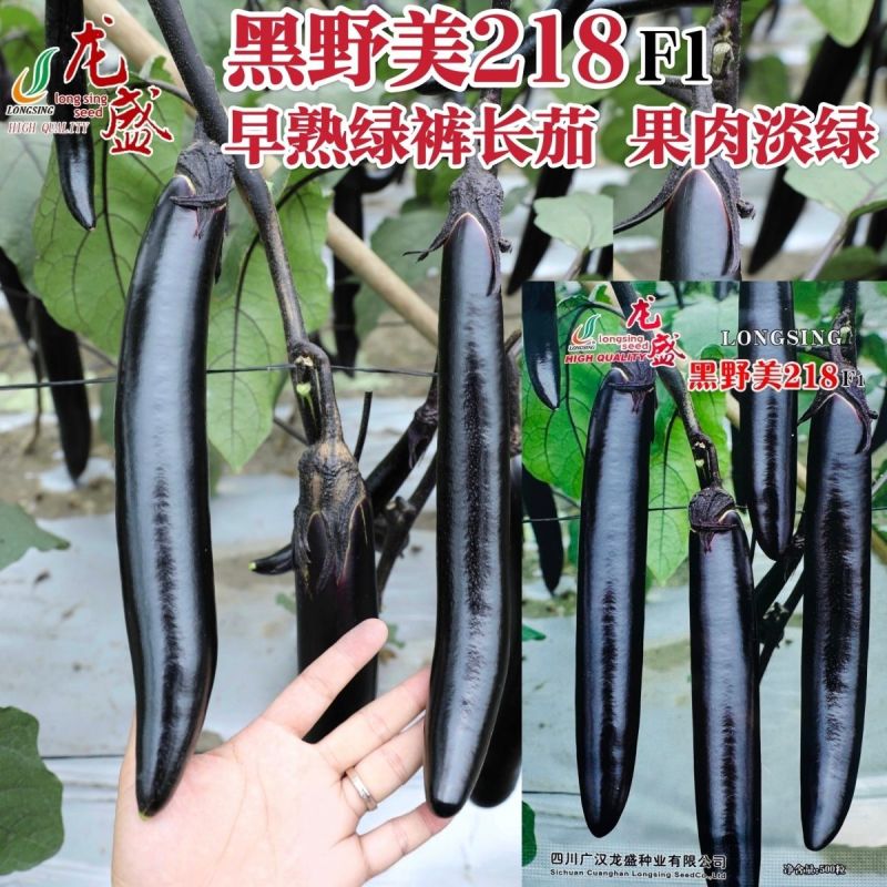 黑野美218绿裤长茄种子油黑靓丽果肉淡绿黑茄子长条茄种子