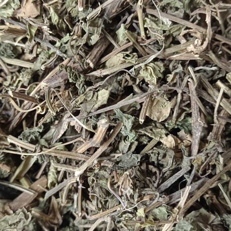 绞股蓝图片实物拍摄中草药大全