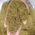 正宗新疆孜然碎产地厂家味道浓郁孜然粉孜然粒新疆孜然颗粒