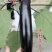 黑野美818油黑长茄子种子早熟春秋棒茄种子果肉淡绿棒型顺