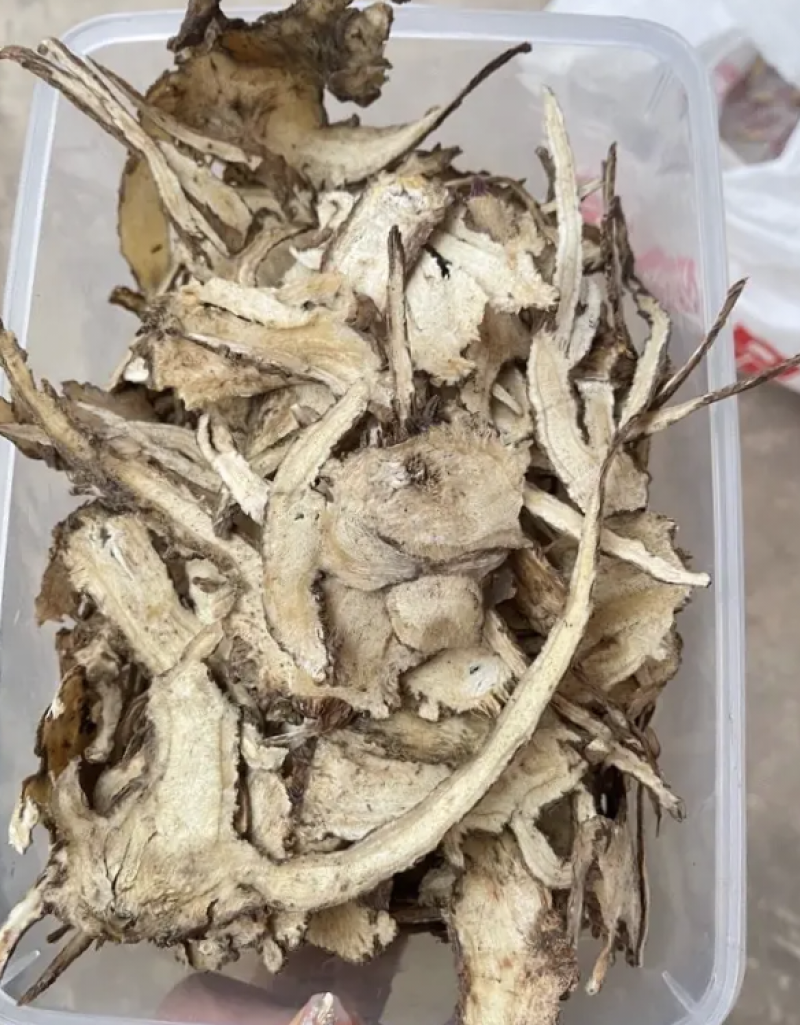 无硫甘肃岷县当归头片需要老板可以订购了