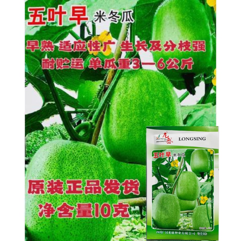 龙盛五叶早米冬瓜种子早熟圆柱形厚肉耐贮运绿皮冬瓜蔬菜种籽