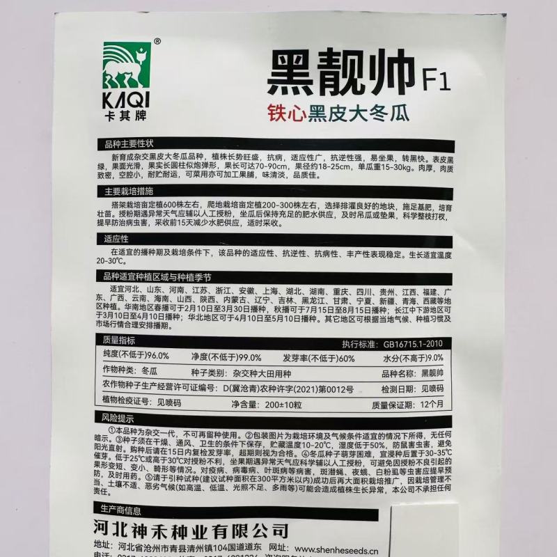 黑靚帅杂交一代冬瓜种子黑皮大冬瓜种子肉质紧实冬瓜籽种蔬菜