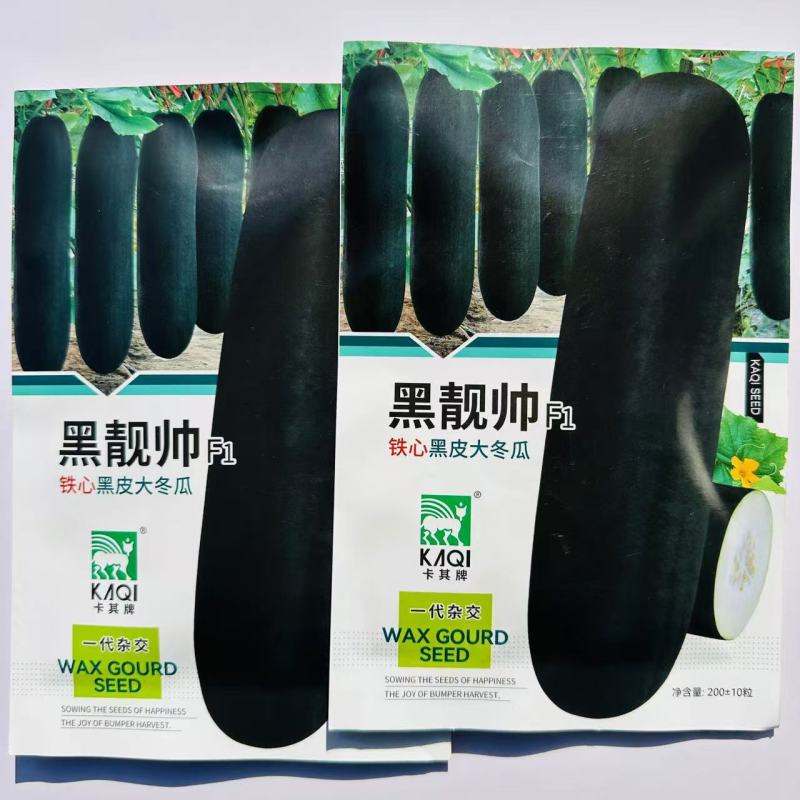 黑靚帅杂交一代冬瓜种子黑皮大冬瓜种子肉质紧实冬瓜籽种蔬菜