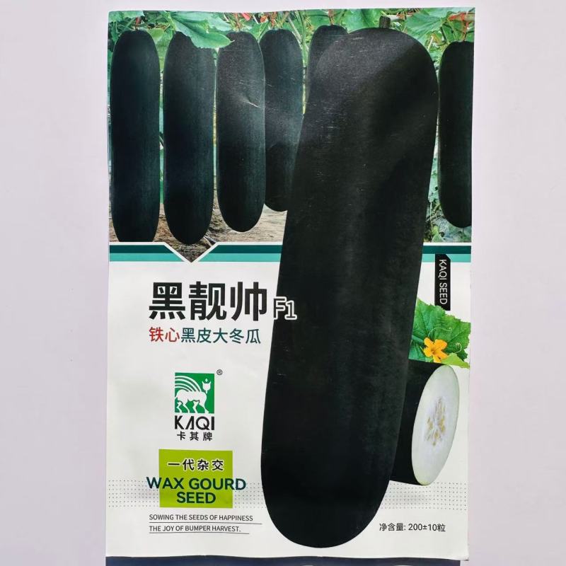 黑靚帅杂交一代冬瓜种子黑皮大冬瓜种子肉质紧实冬瓜籽种蔬菜
