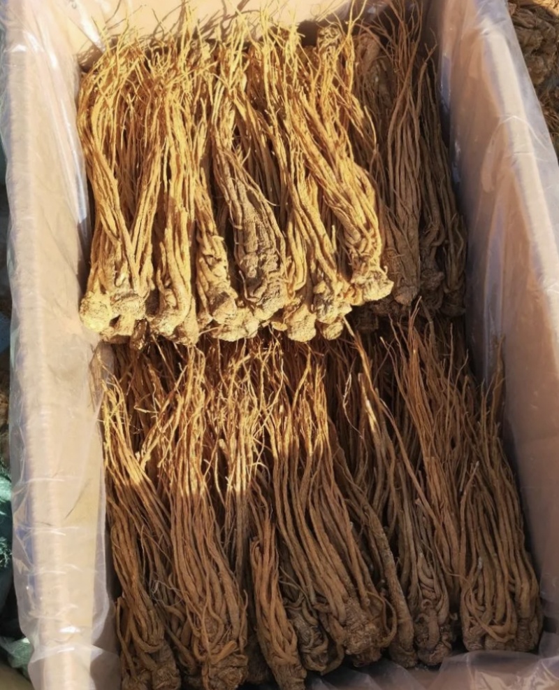 甘肃岷县水洗无硫当归大量新货可全国发货欢迎老板选购