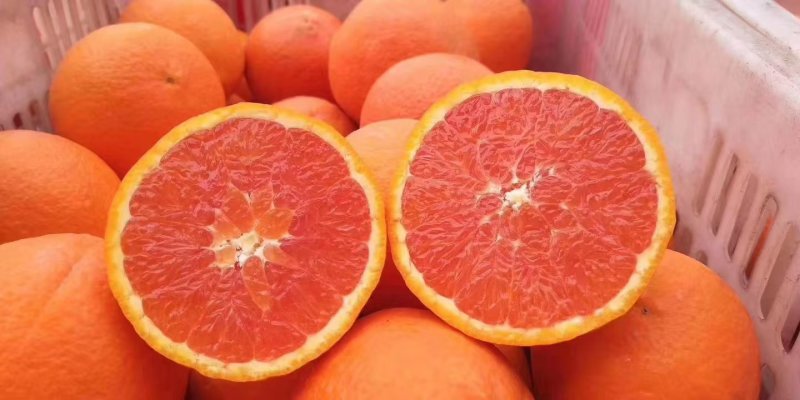 秭归红心橙中华红血橙口感清甜入口即化水份超足