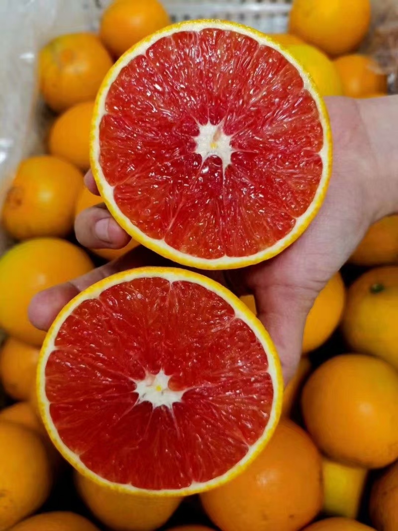 秭归红心橙中华红血橙口感清甜入口即化水份超足