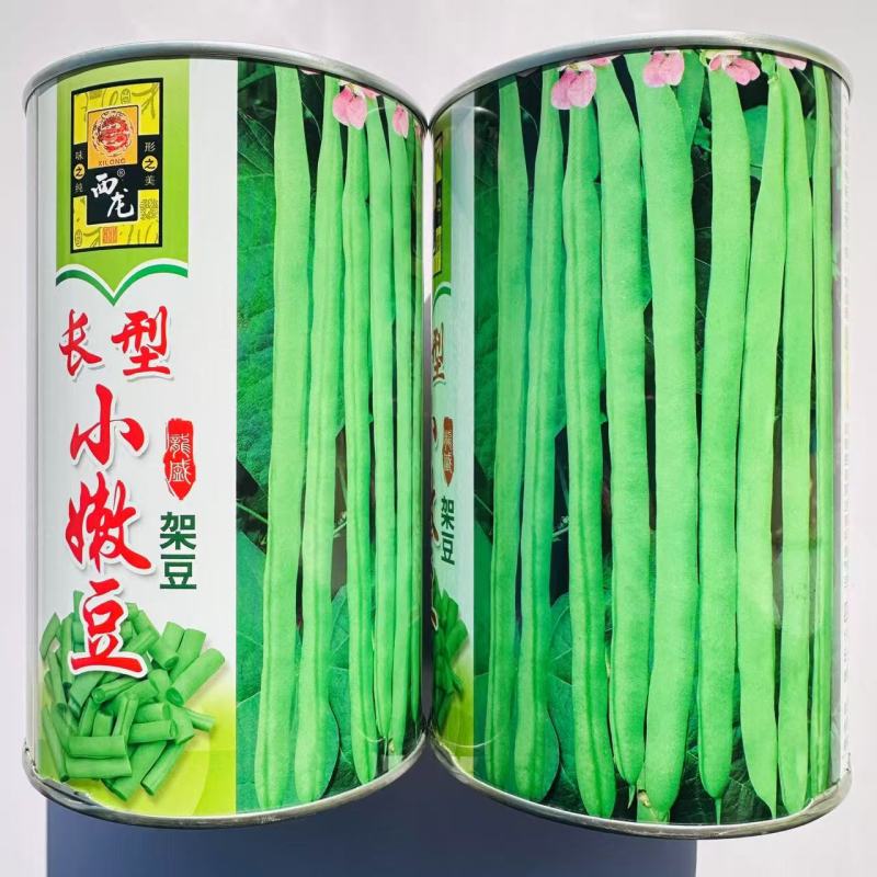 加长型小嫩豆种子无筋架豆种子四季豆特长小金豆种子高产豆角
