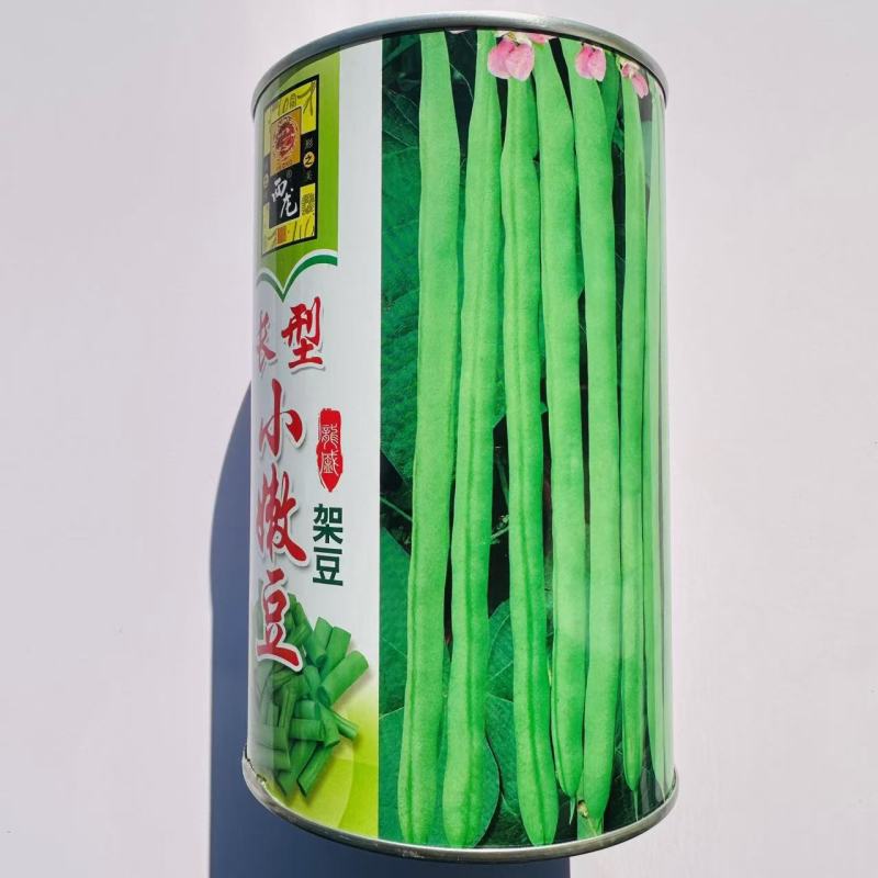 加长型小嫩豆种子无筋架豆种子四季豆特长小金豆种子高产豆角