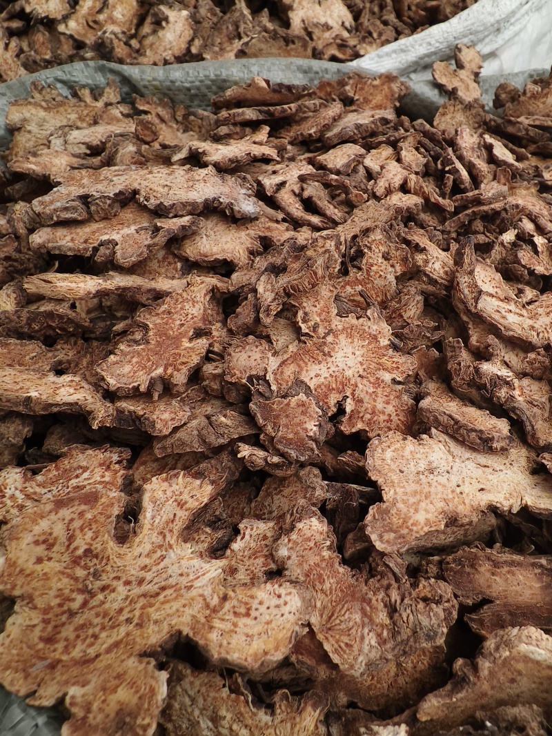 苍术优质新货北苍术朱砂点明显全撞皮半撞皮苍术野生苍术
