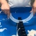 七路猪肠衣，中长把，短把，大量现货