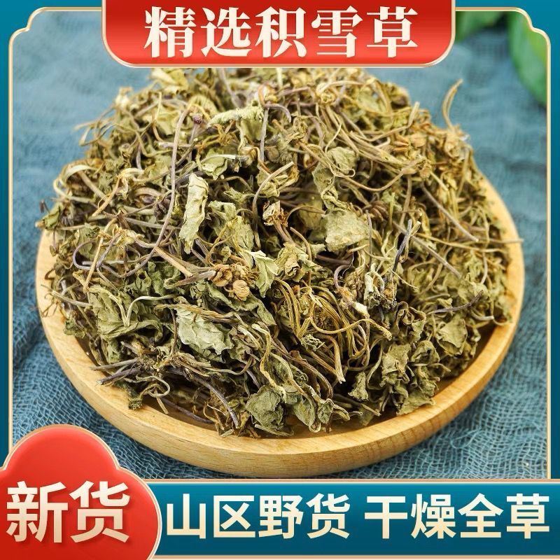 【积雪草】积雪草马蹄草物美价廉产地直供