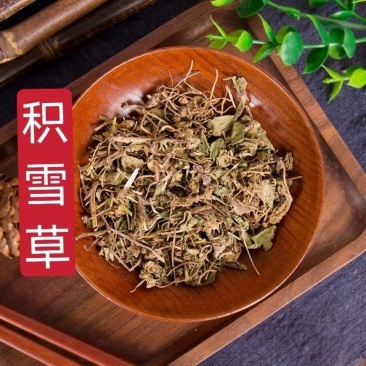 【积雪草】积雪草马蹄草物美价廉产地直供