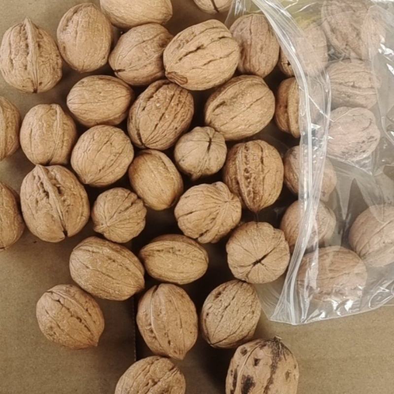 陕西小清香核桃，
