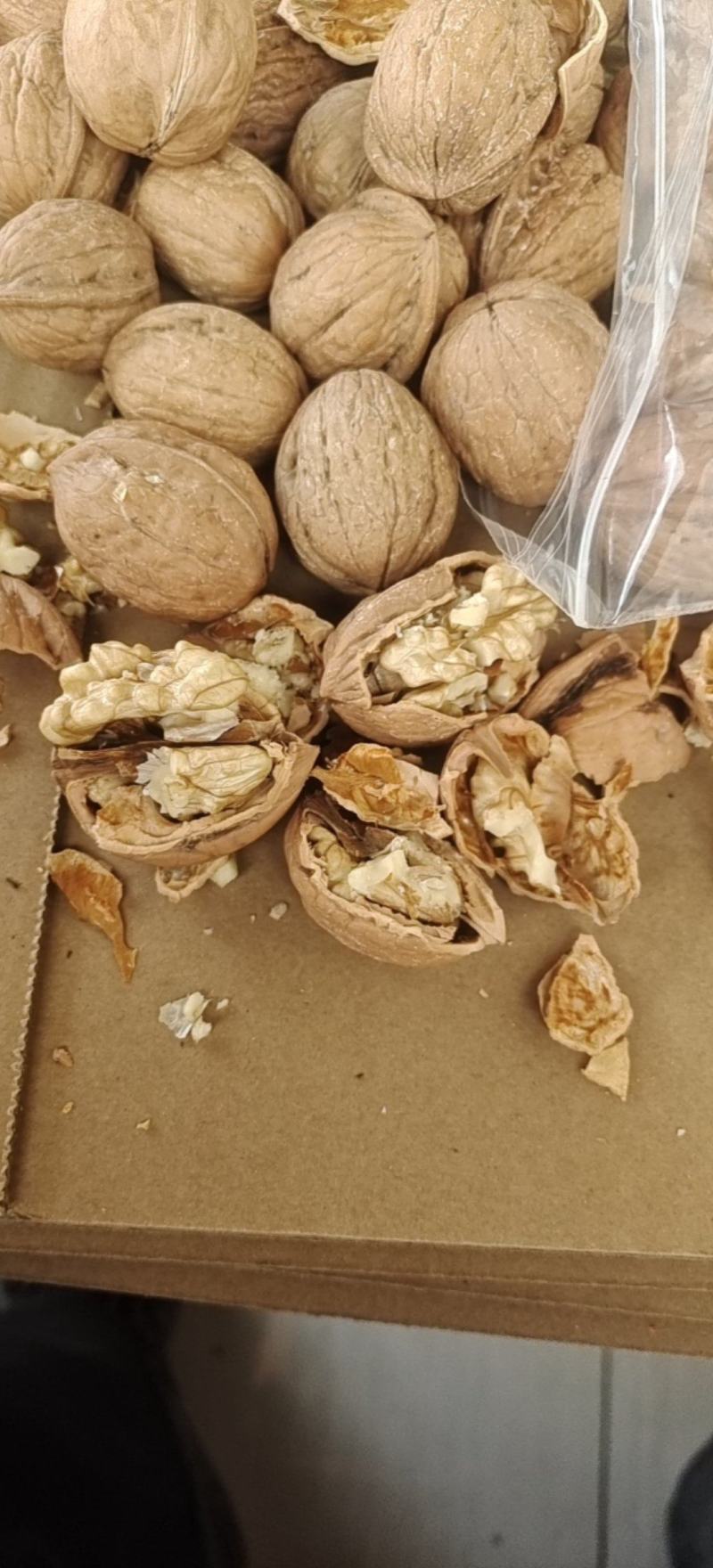陕西小清香核桃，